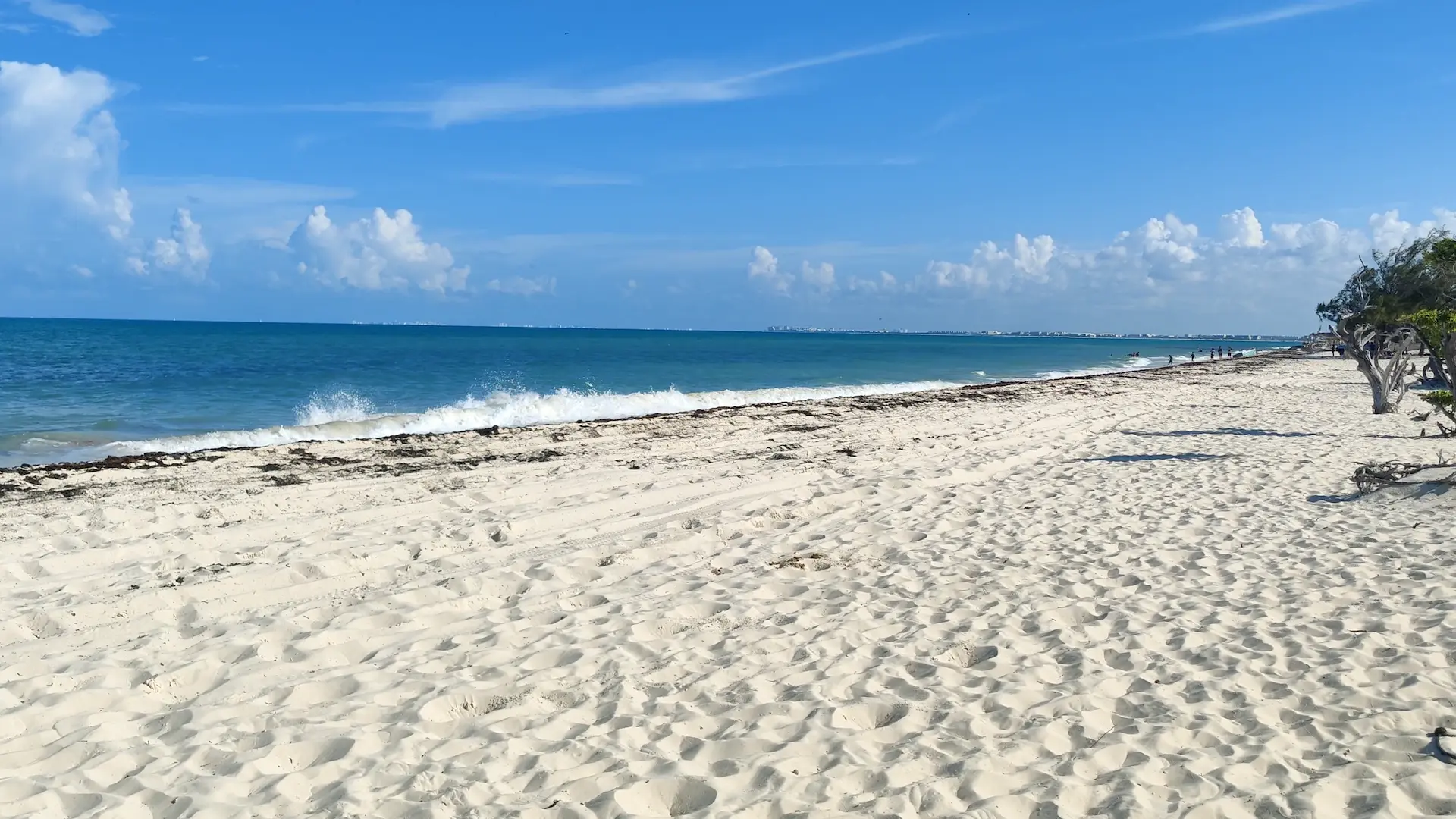 Blog: Scooter Rental Cancun: Where to Ride North and South of the Hotel Zone